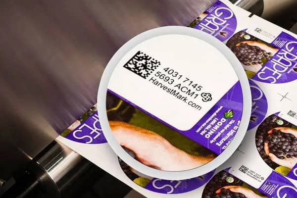 Preparing for the 2D Code Powered by GS1 with Digital QR Code Printing: A Converter’s Perspective