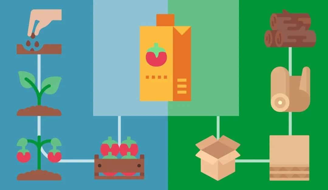 Supply Chain Transparency – First Mile Traceability